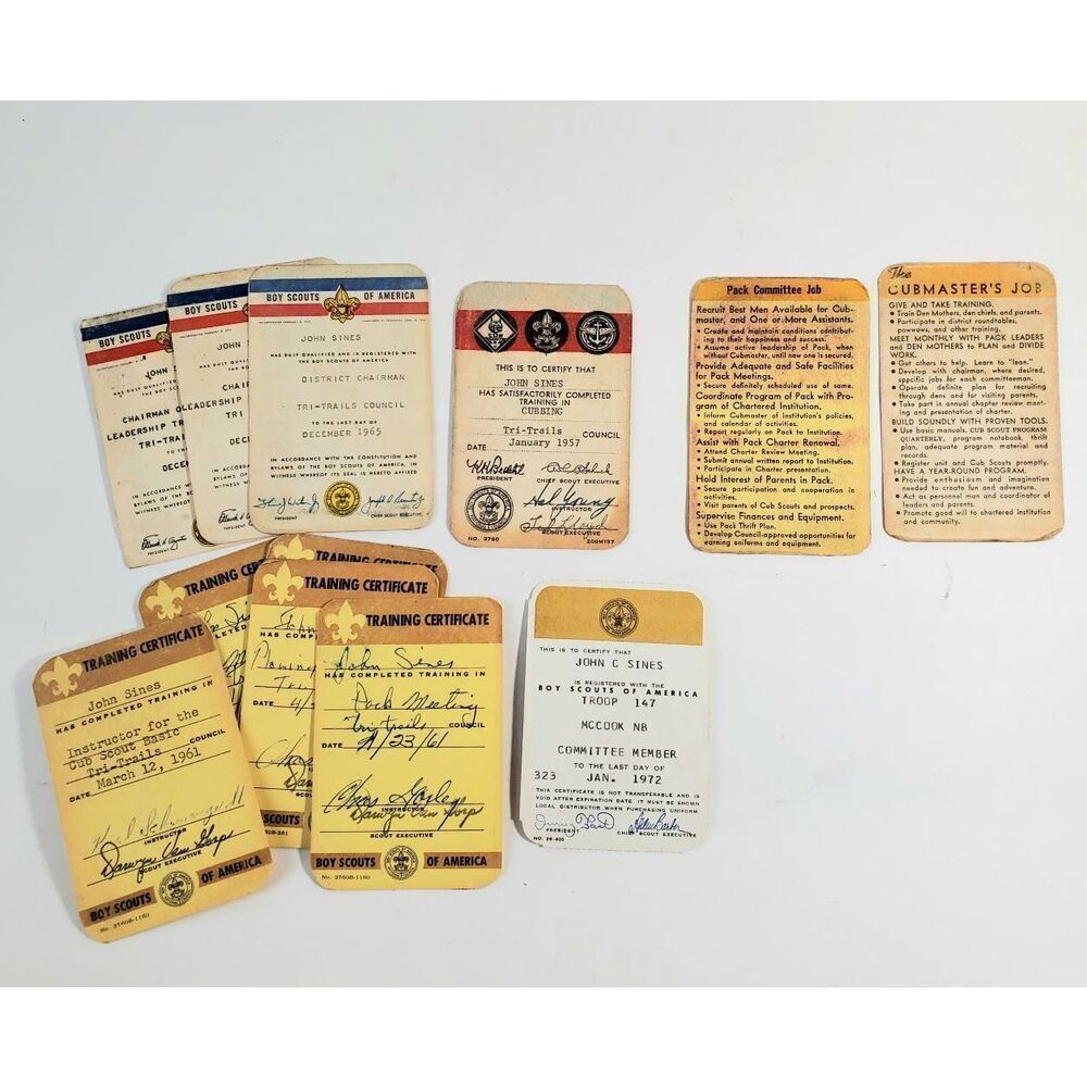 Vintage Boy Scouts of America 50s 60s Member cards memorabilia MERIT BADGE